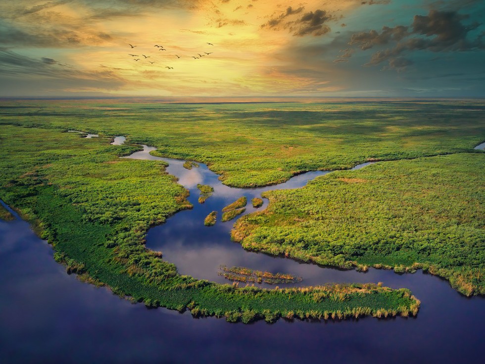 everglades_angeln_florida_capecoral